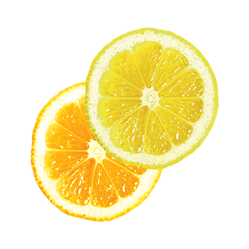 Top Notes Image