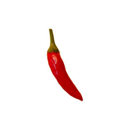 Top Notes Image