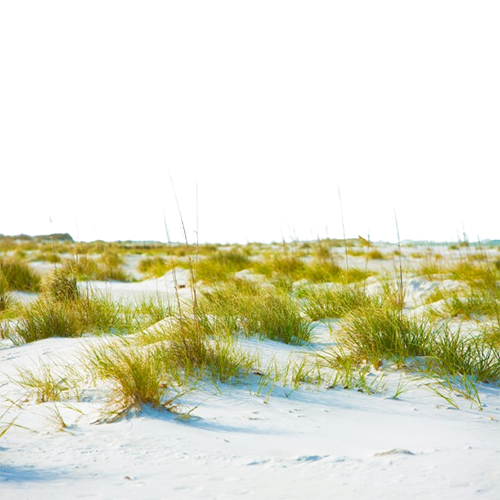 Middle Notes Image