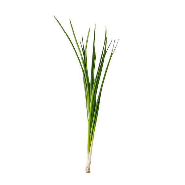 Middle Notes Image