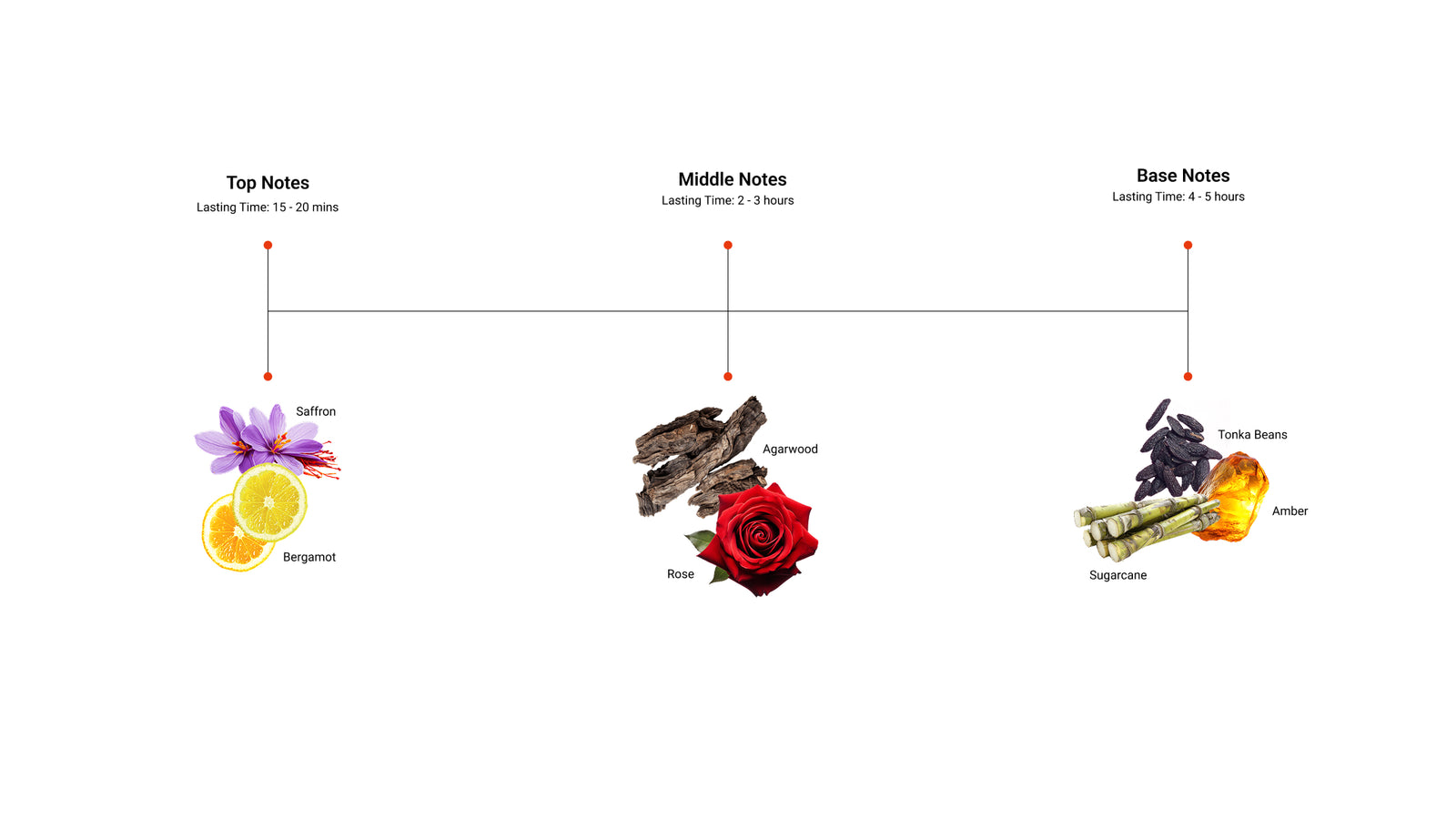 Deep Gold — top, middle and base notes