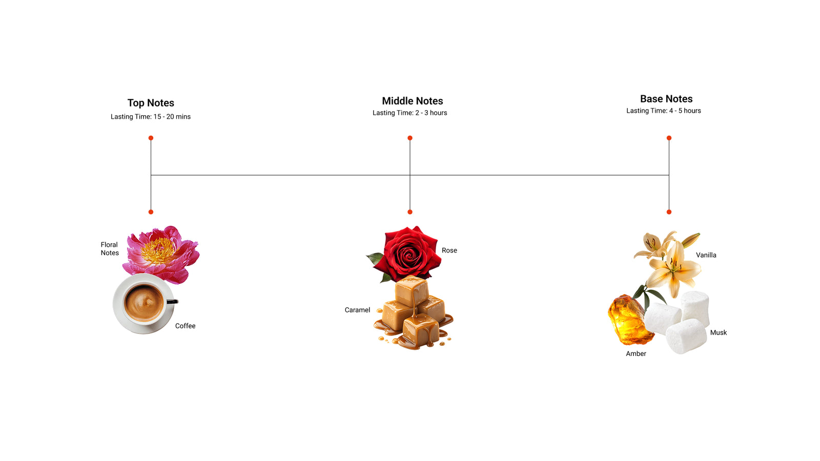 Golden Brew — top, middle and base notes