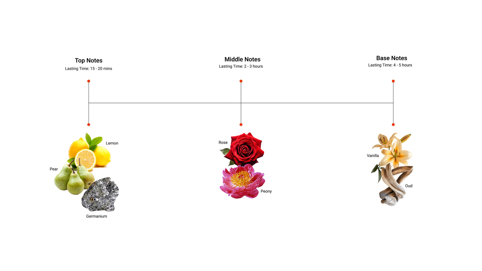 Golden Hour — top, middle and base notes