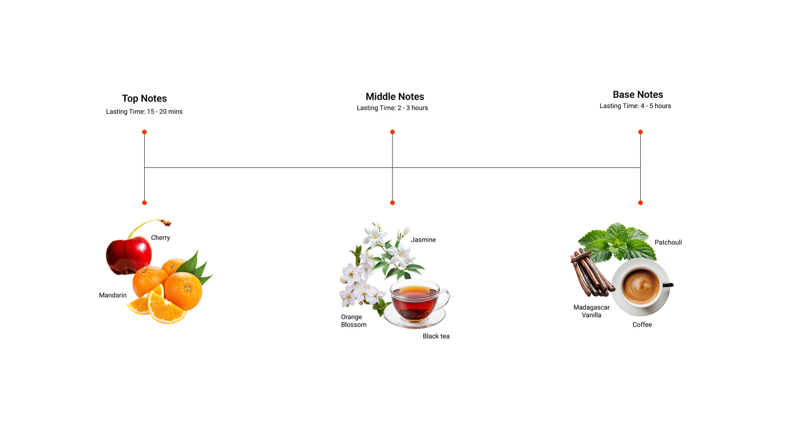 Late Night Bloom — top, middle and base notes
