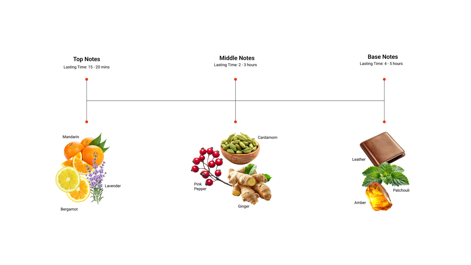 Magnetic Glow — top, middle and base notes