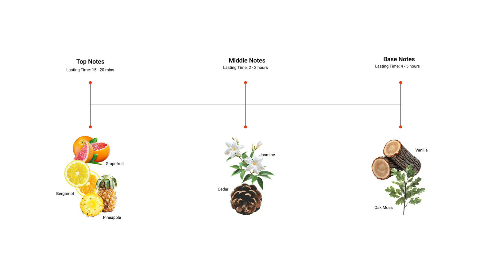 Momentum — top, middle and base notes