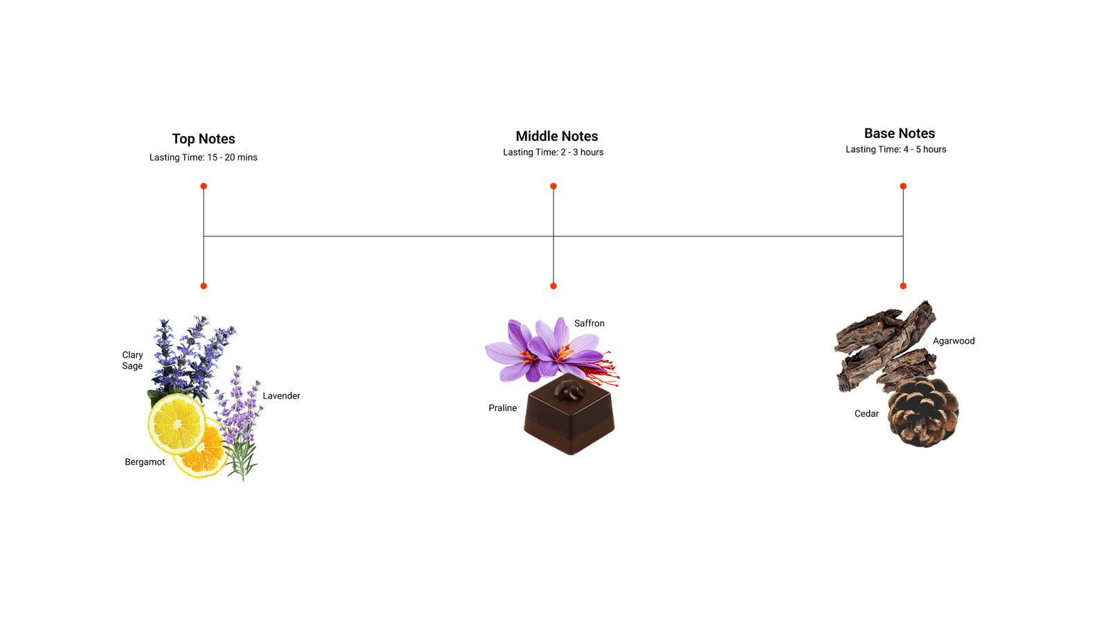 Peaky Veil — top, middle and base notes