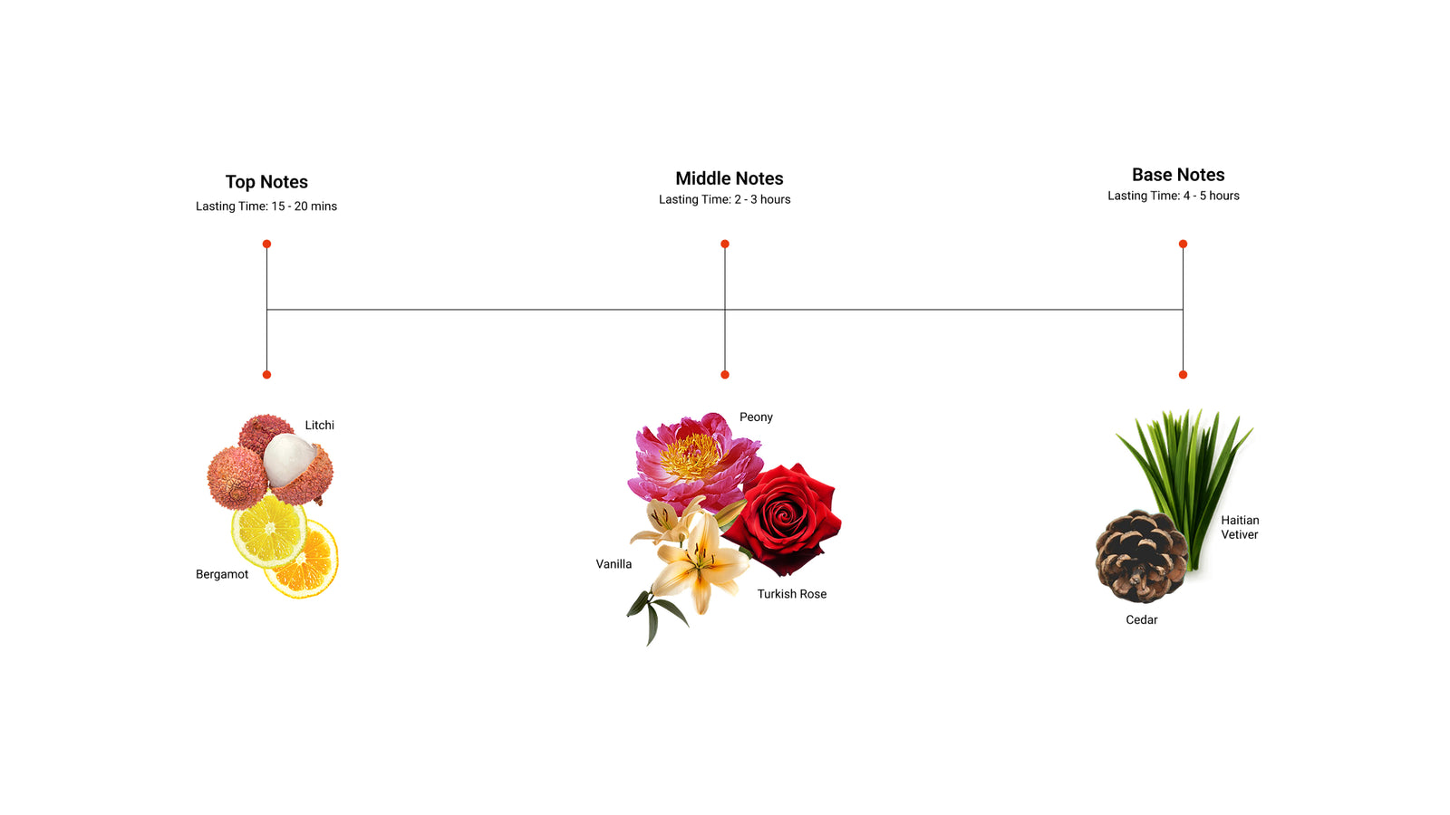 Romance Edit — top, middle and base notes