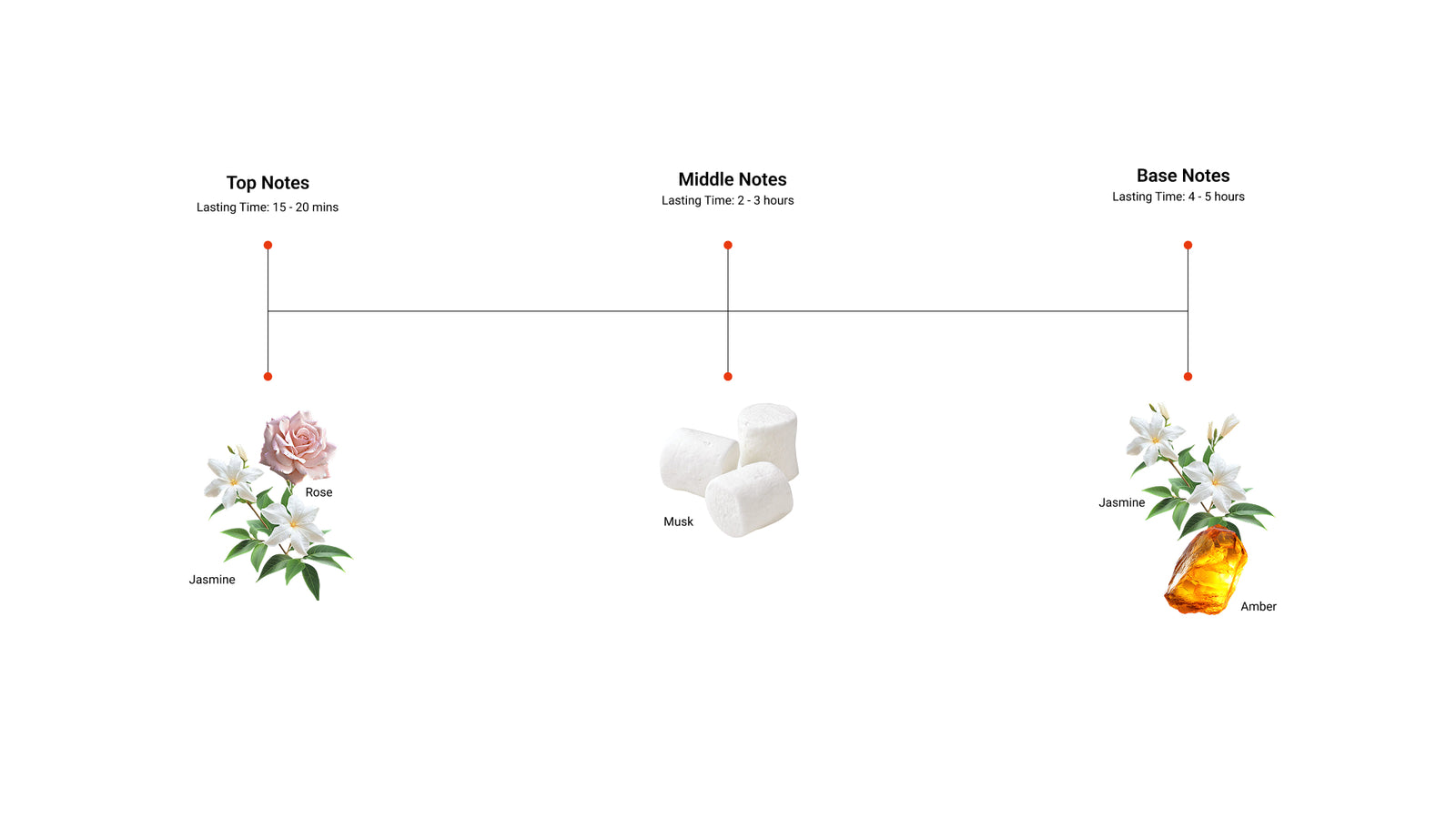 Rose Whisper — top, middle and base notes