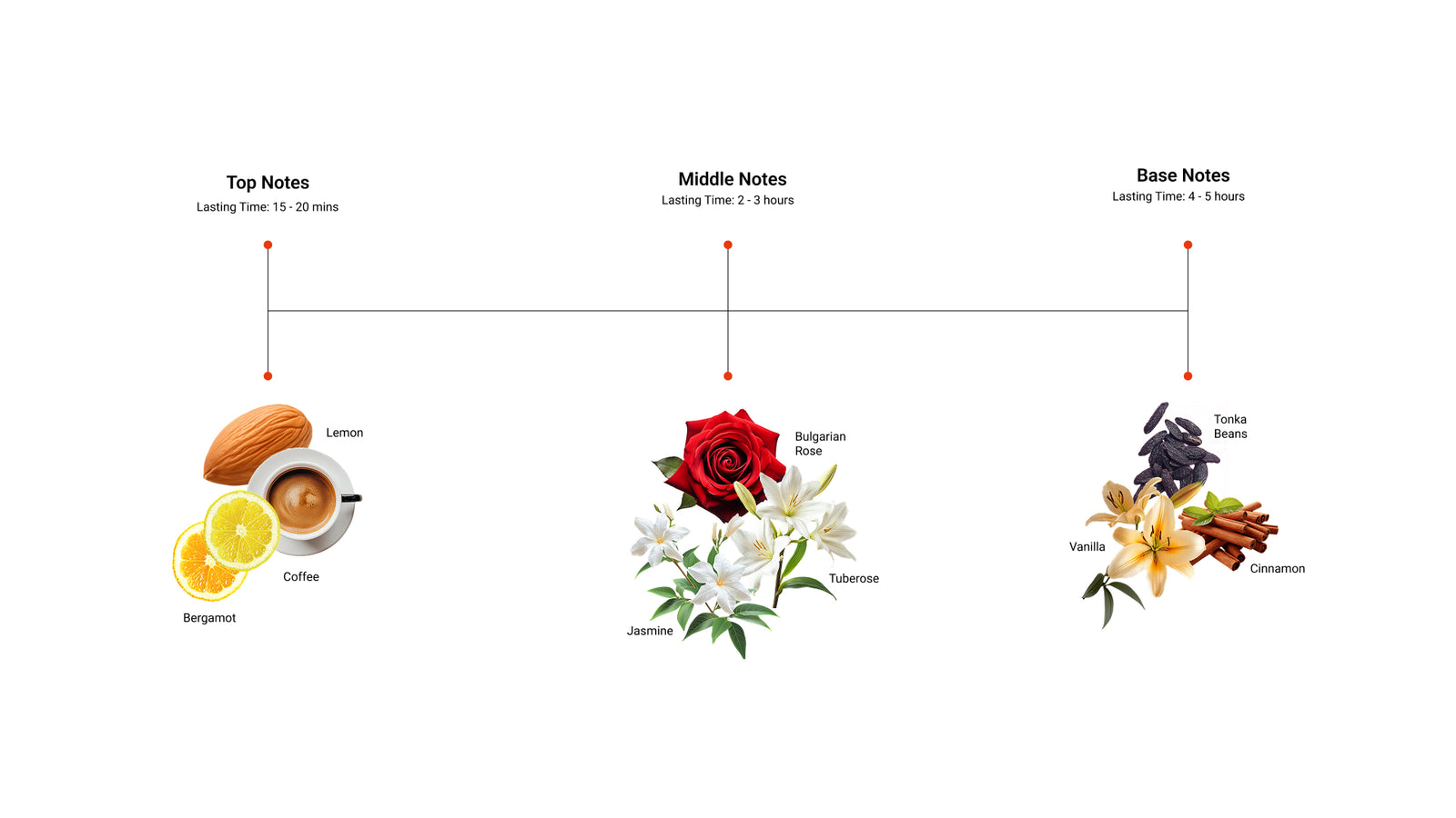 Soft Dare — top, middle and base notes