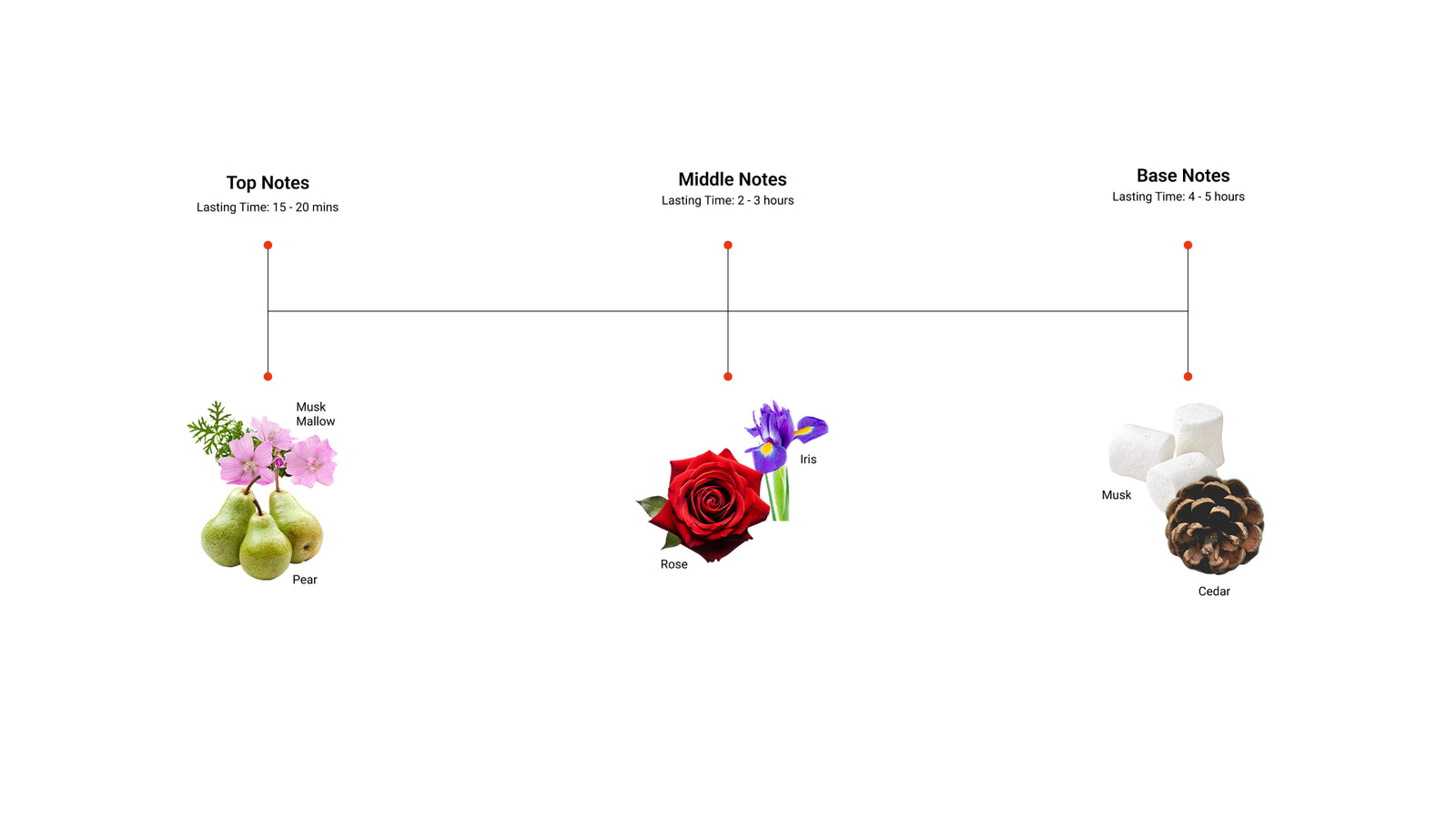 Soft Power — top, middle and base notes
