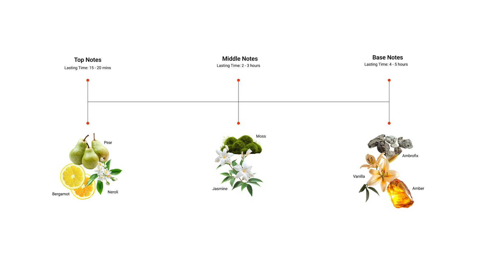 Spice Empress — top, middle and base notes