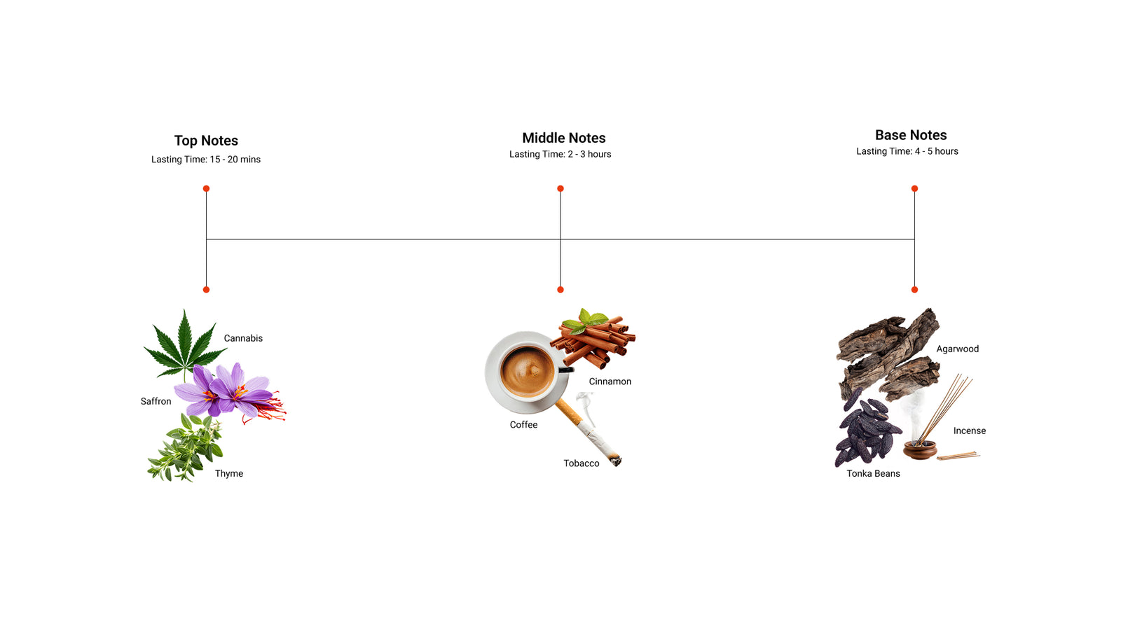 Spice from Arrakis — top, middle and base notes
