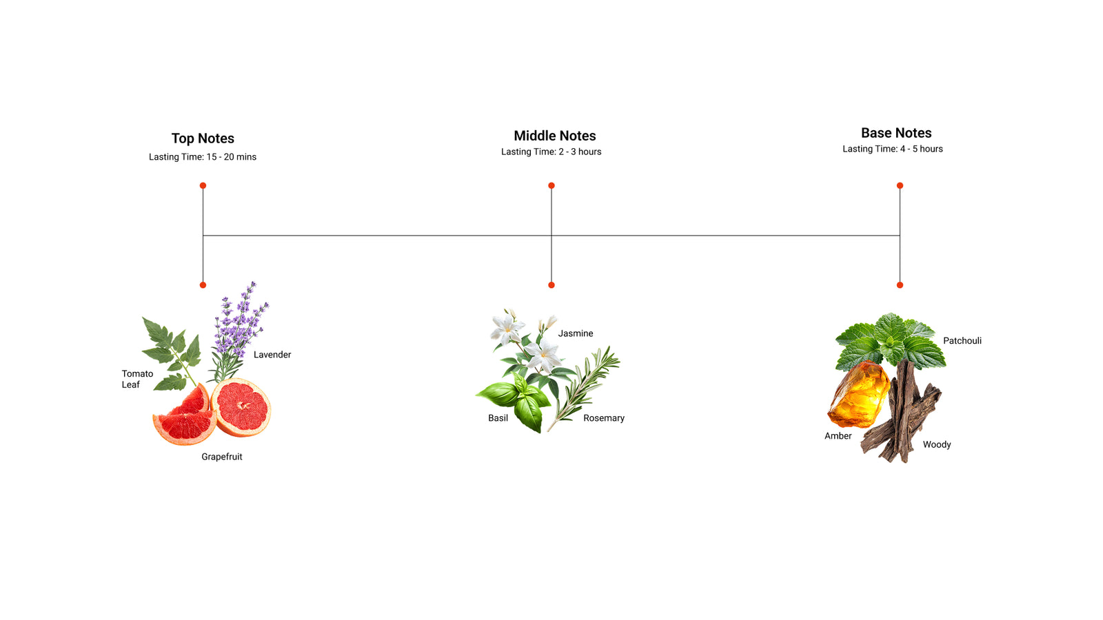 Summer Stroll — top, middle and base notes