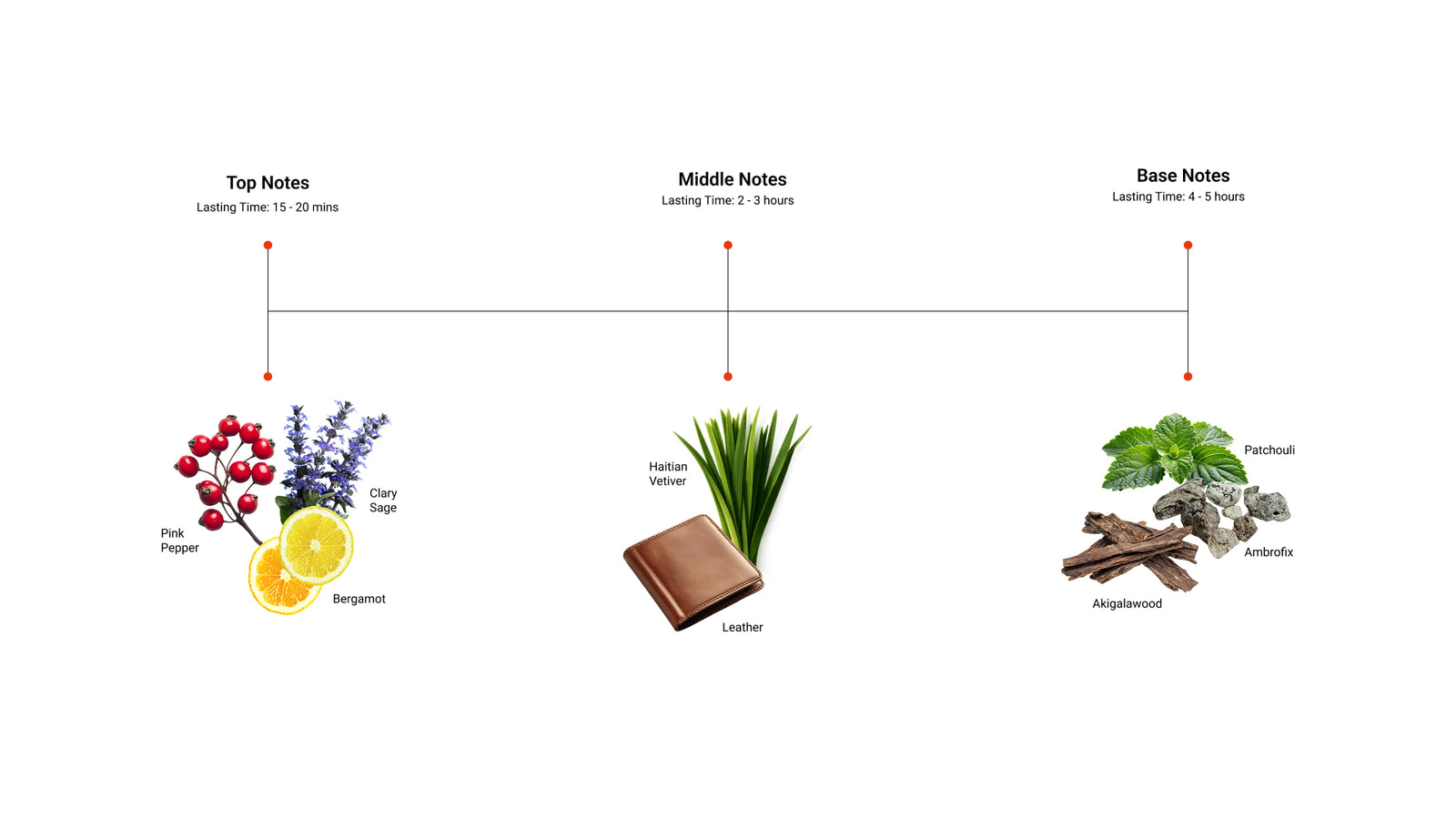 Trailblazer — top, middle and base notes