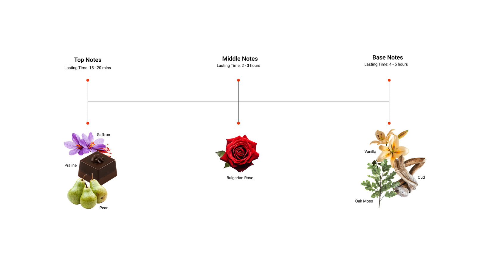 Velvet Dune — top, middle and base notes