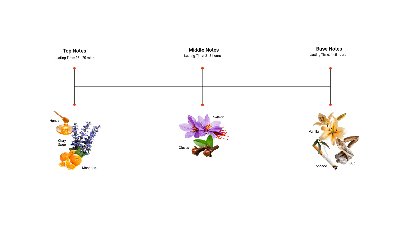 Warm Hug — top, middle and base notes